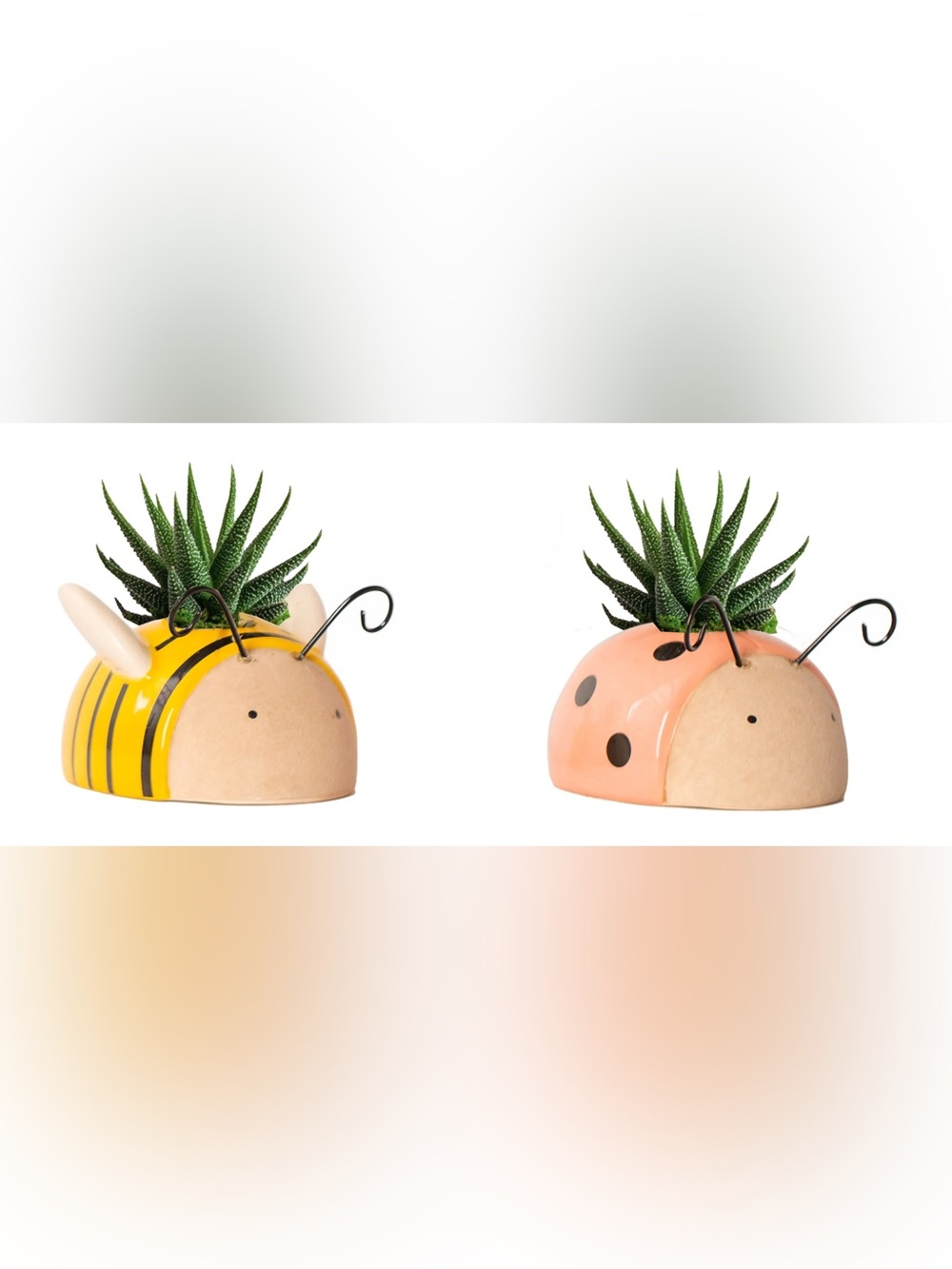 LiveTrends 2 Pack Bug Buddies  in 2.30 -oz Pot Cute Bee and Lady Bug Pinl Yellow